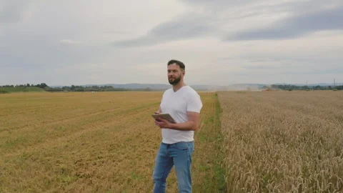 Male farmer with tablet computer in wheat field walking and checking Stock Footage 249607911