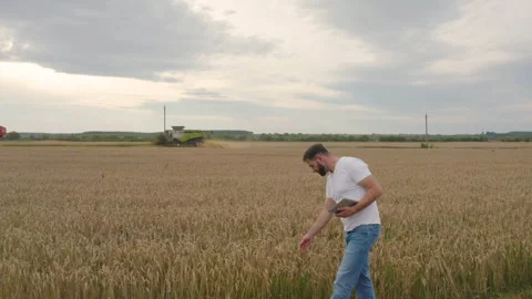 Male farmer with tablet computer in wheat field walking and checking Stock Footage 249608037