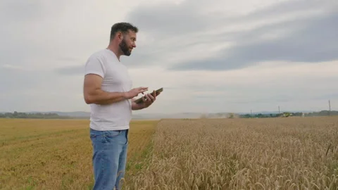 Male farmer with tablet computer in wheat field walking and checking Stock Footage 249608271
