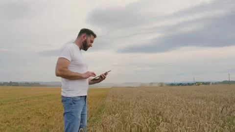 Male farmer with tablet computer in wheat field walking and checking Stock Footage 249608368