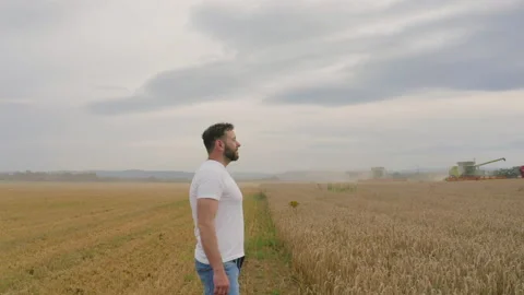 Male farmer with tablet computer in wheat field walking and checking Stock Footage 249608602