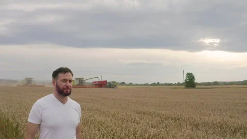 Male farmer with tablet computer in wheat field walking and checking Stock Footage 249608609