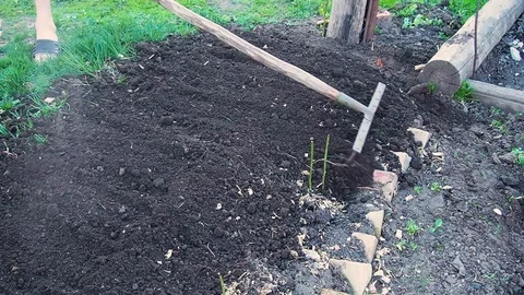 Male farmer using a rake Video stock 110986719