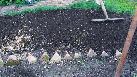 Male farmer using a rake Video stock 110986730