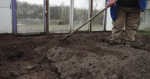 Male farmer using a rake to level and cultivate the fertile soil inside a Stock Footage 334574477