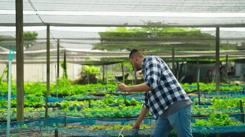 Male farmer using tablet device and walking in farm. Stock Footage 235569776