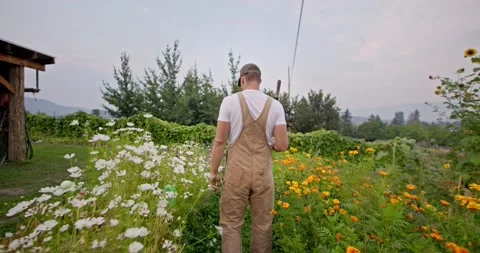 Male farmer walks through beautiful garden 库存影片 218488341