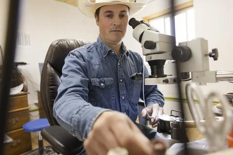 Male farmer working at microscope Foto stock