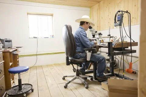 Male farmer working at microscope Stock Photos