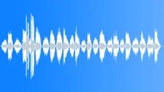 Male Fast Heavy Breathing 2Sound Effect