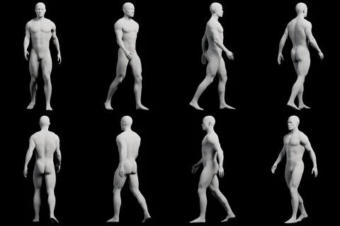 Male figure model in 8-view studio Stock Illustration