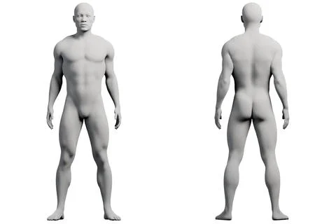 Male figure model in studio grid Stock Illustration