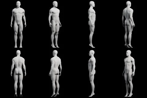 Male figure model in studio Stock Illustration