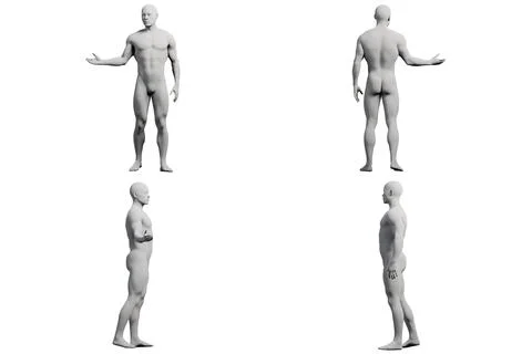 Male figure model in studio pose Stock Illustration