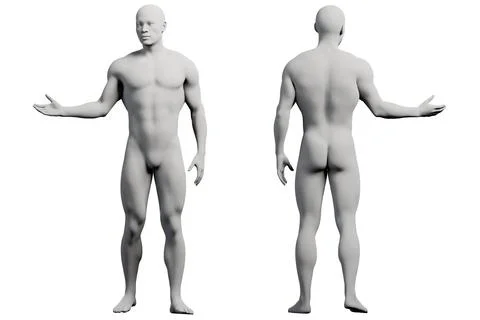 Male figure model in studio pose Stock Illustration