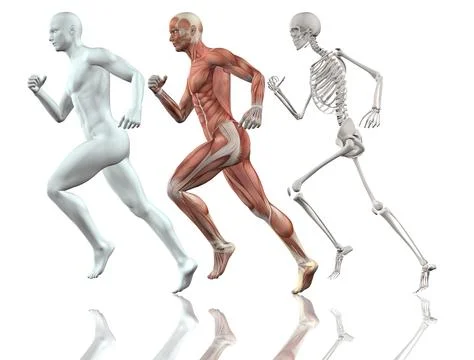 Male figure running Illustrazione stock