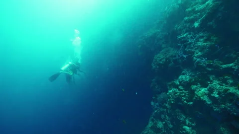 Male flips professionally and performs good swimming movements Stock Footage 305960915