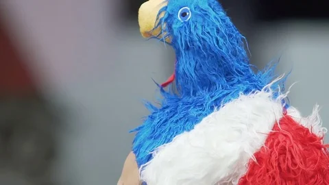 Male football fan from France wearing mascot headgear and enjoying match Stock Footage