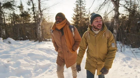 Male Friends Walking In Woods In Winter Vidéo 146553293