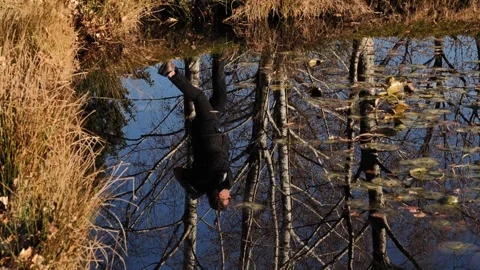 Male Golfer Reflected Upside Down in a Water Pond and Hitting the Golf Ball Stockbeeldmateriaal 267734359