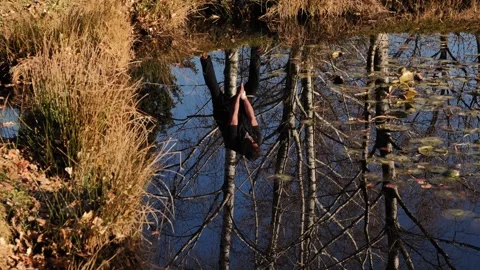 Male Golfer Reflected Upside Down in a Water Pond and Hitting the Golf Ball 動画素材 271357530