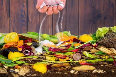 Male hand adding lime to a compost heap to increase the composting rate. Stock Photos
