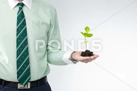 A male hand holding a young plant Stock Photos