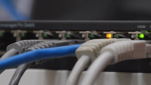 Male Hand Inserts The Blue Data Cable Into The Gigabit Network Switch Stock Footage 104923557