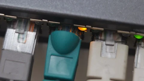 Male Hand Inserts The Green Data Cable Into The Gigabit Network Switch. Stock Footage 104923706
