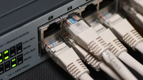 Male Hand Inserts The Green Data Lan Cable rj45 Into Network Switch. Stock Footage 136329181
