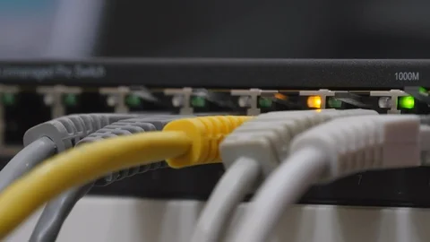 Male Hand Inserts The Yellow Data Cable Into The Gigabit Network Switch Stock Footage 104923554