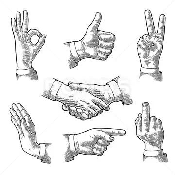 Male Hand sign. Like, Handshake, Ok, Stop, Middle finger, Victory Stock Illustration