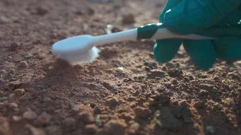 Male hands of archaeologists in gloves searching fossils or artifacts on object Stock Footage 251332053