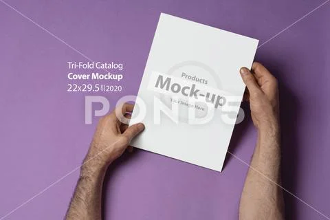 Male hands holding a closed tri-fold catalog with blank cover on purple backg Template PSD
