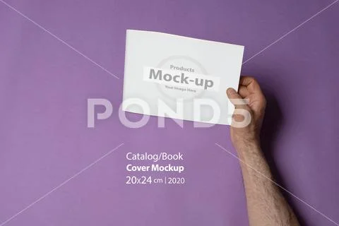 Male hands holding a tri-fold brochure with blank pages on purple background PSD Template