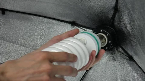 Male hands insert a light bulb into the softbox Stock Footage 105745392