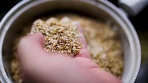 Male hands picking up processed grains in factory Stock Footage 132741206