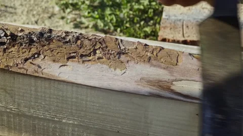 Male hands process boards from the bark with a hand tool. Stock-Footage 249014309