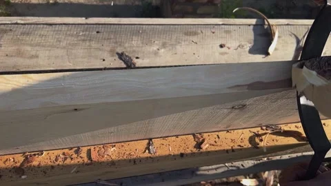 Male hands process boards from the bark with a hand tool. Slow motion video Vídeos de archivo 256892032