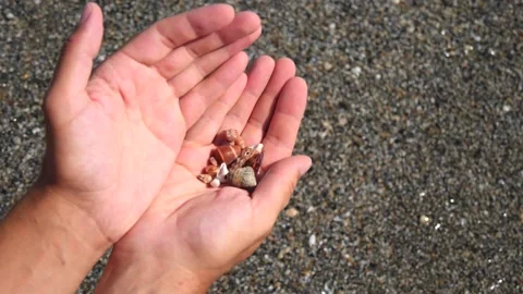 Male hands roll small seashells from hand to hand, against the background Stock Footage 138754490