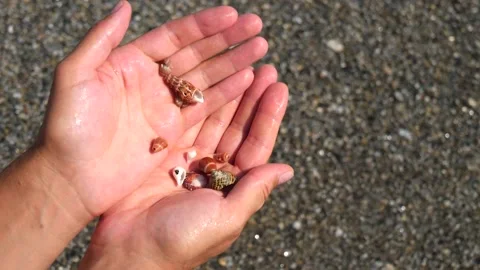 Male hands roll small seashells from hand to hand, against the background Stock Footage 138754618
