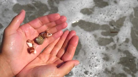 Male hands roll small seashells from hand to hand, against the background Stock Footage 138754885