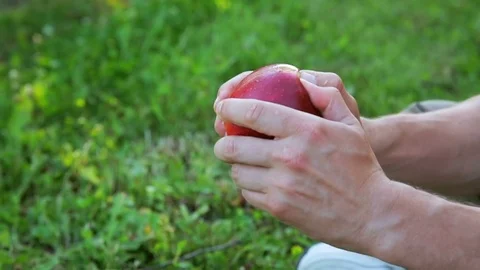 Male hands split ripe red apple 動画素材 78028343