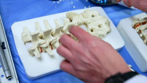 Male hands use model of spine for demonstration at neurosurgery practice Stock Footage 302374939