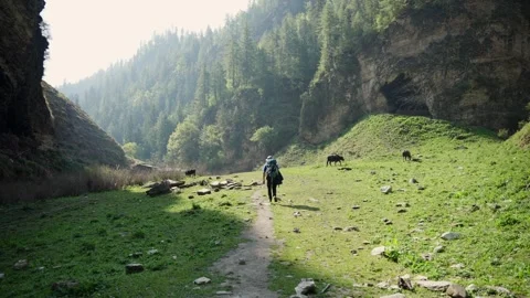 Male hiker with blue backpack Vídeos de archivo 343155974