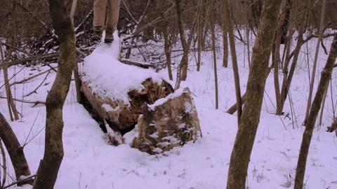 Male hiking in winter forest Stock Footage 85372053