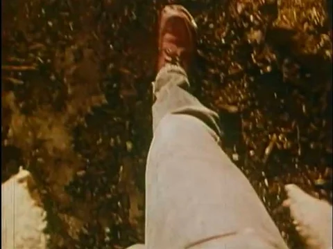 A male hippy, having ingested LSD, peers at a plant and enjoys expanded Stock Footage 74947641