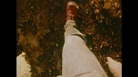 A male hippy, having ingested LSD, peers at a plant and enjoys expanded Stock Footage 134556737
