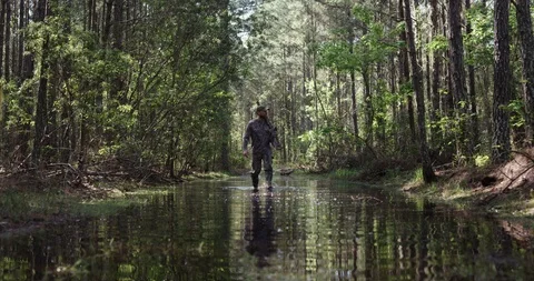 Male hunter walking through a marsh in a forest with his rifle Stock Footage 107632075