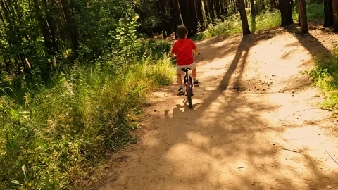 Male kid speed riding mountain bike forest off road back view steadicam Stock Footage 219434221